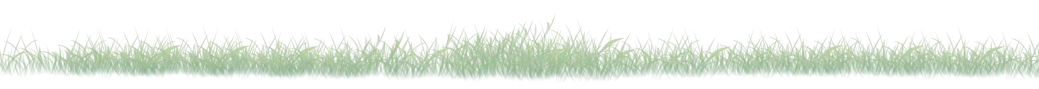 grass